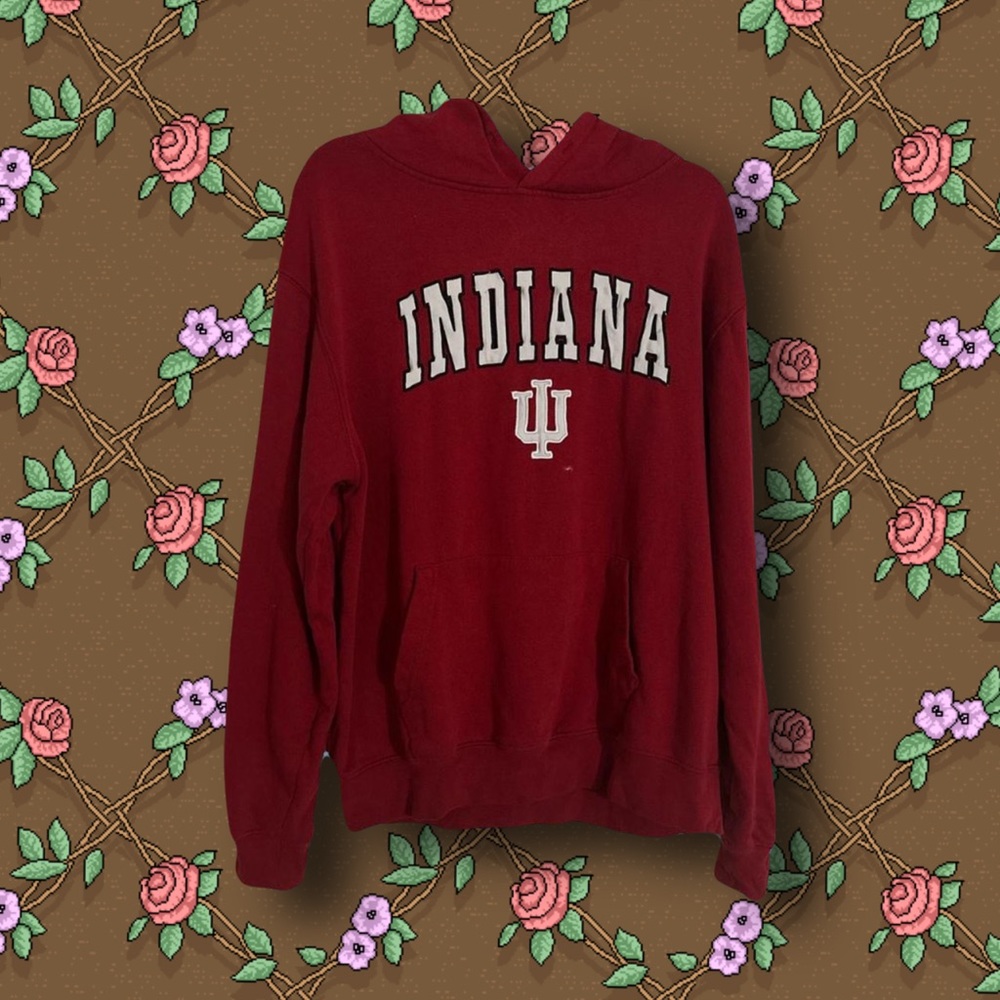 IU Hoodie Large